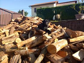 Que du bonheur dans le jardin pour jouer